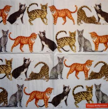 999.177 Cats - 3-ply - Marque Deposee 2008 - Clouet